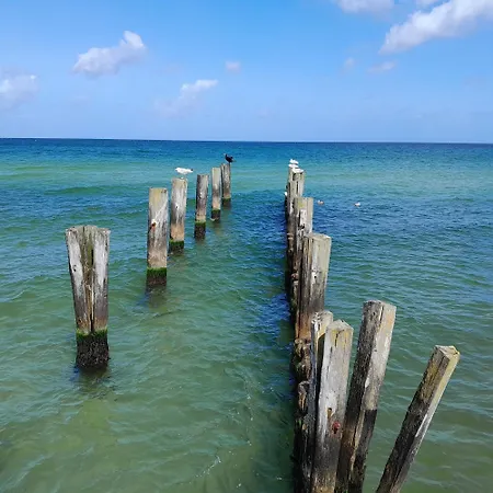 Am Bodden, Fw 8 * Zingst